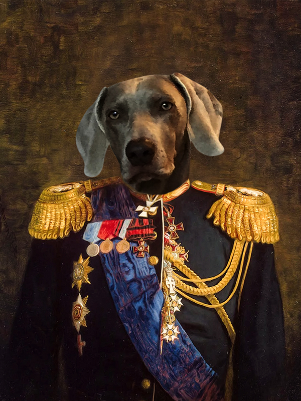 The paint by numbers for royal, noble and amazing pets.