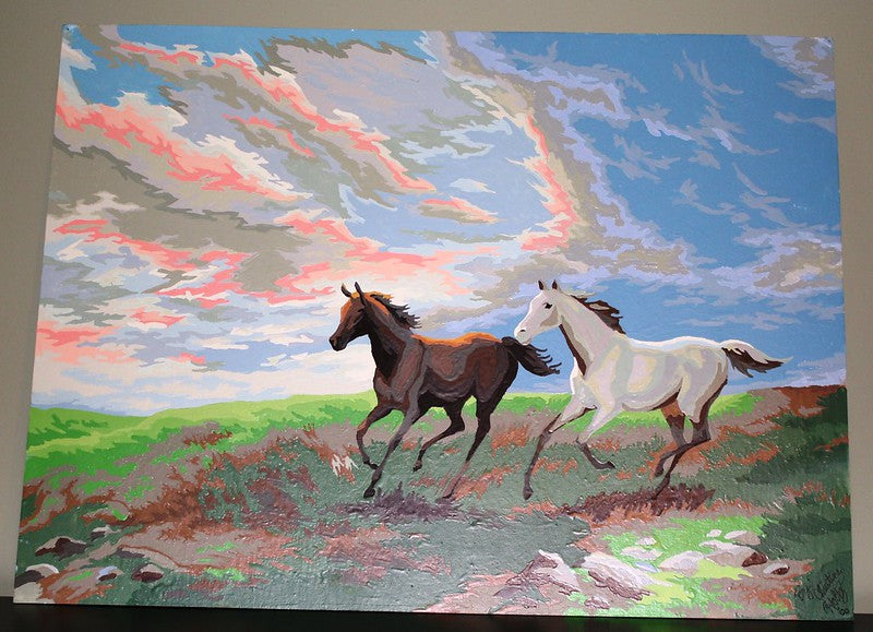 What is Paint by Numbers? Know Everything with this Guide