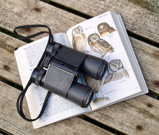 The Best Hobbies for High Stress Jobs for Adults - miicreative