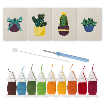 Prickly Potted - Set of 4