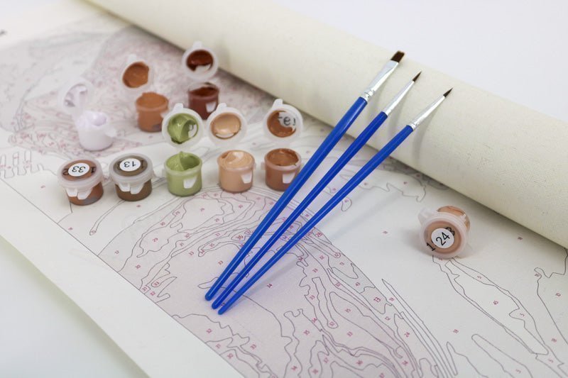 Park Guell - miicreative - Paint by Numbers Fixed Kit - Pre-designed Kit
