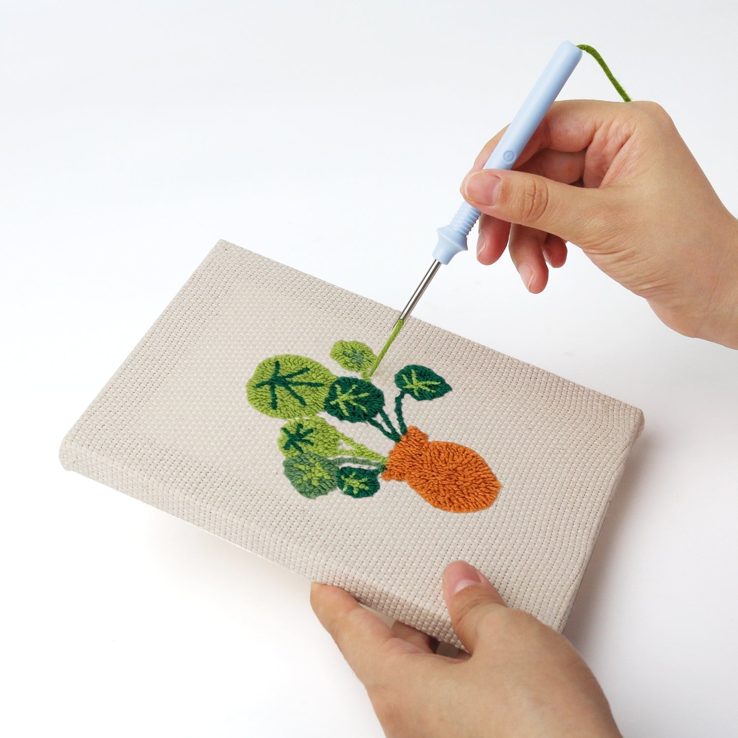 Plant Party - Set of 4 - miicreative