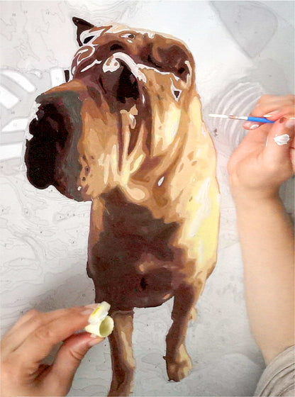 Paint your Photo - Custom Paint by Number