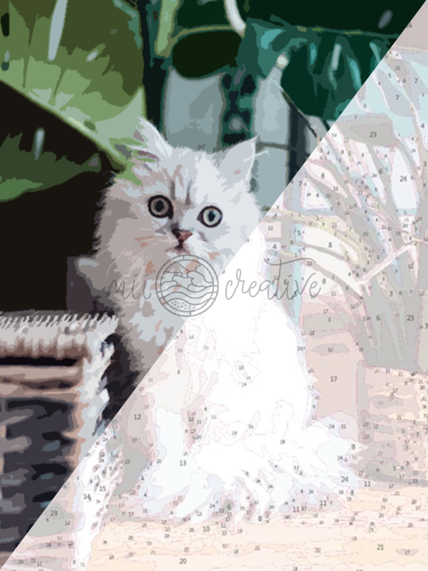 YOUR PHOTO AS PAINT BY NUMBERS