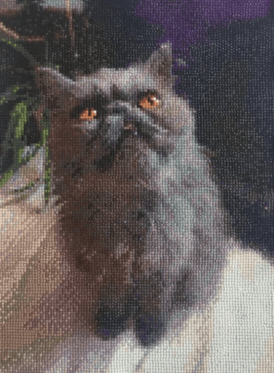 Diamond Painting - miicreative