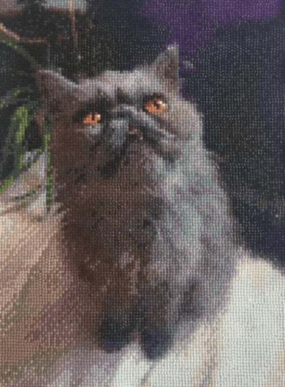 Diamond Painting - miicreative
