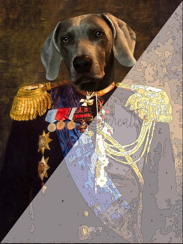 The paint by numbers for royal, noble and amazing pets.