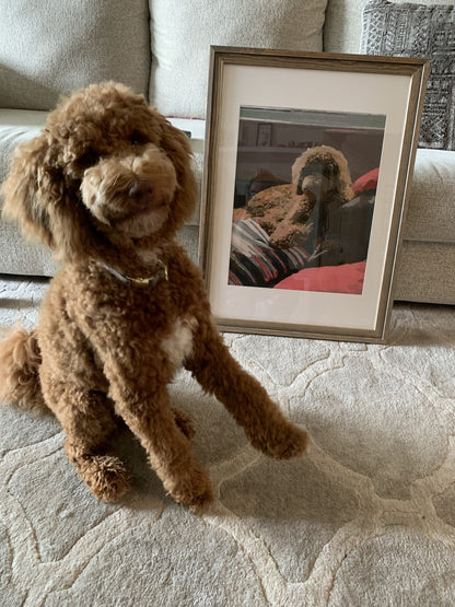 Halloween Painting VIP Bundle