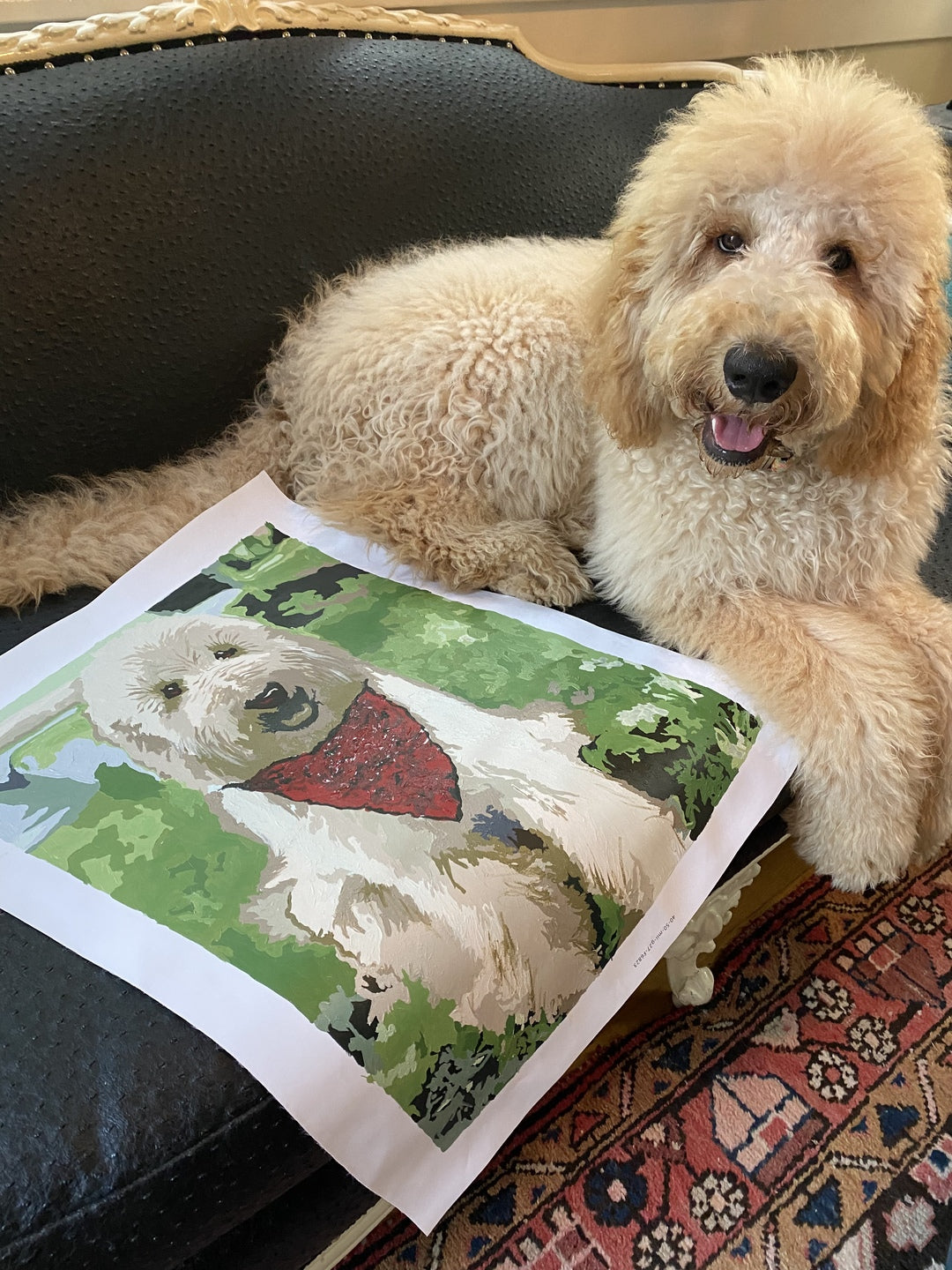 Paint your own Photo - Custom Paint by Number