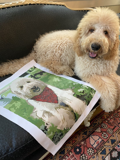 Paint your own Photo - Custom Paint by Number