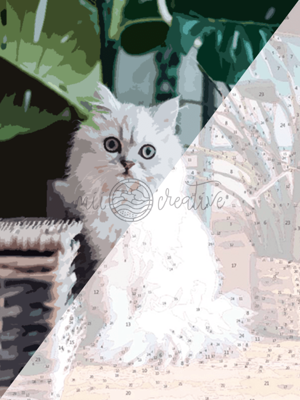 YOUR PHOTO AS PAINT BY NUMBERS - miicreative